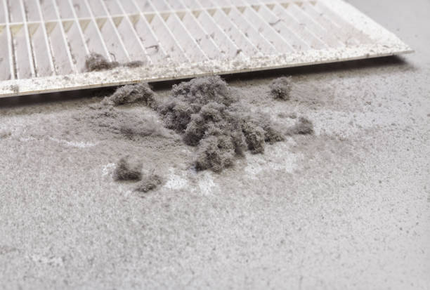 Affordable HVAC Duct Cleaning in Freeport, IL