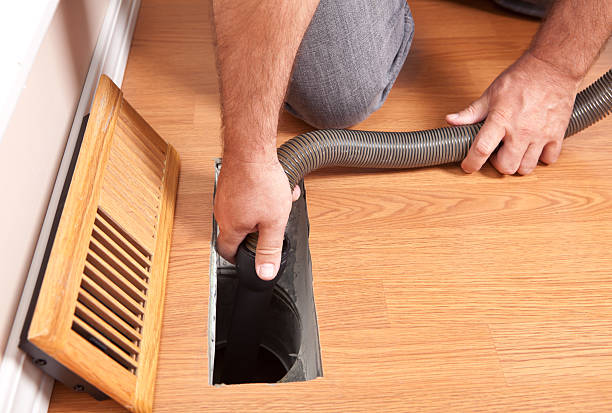 Best Air Duct Mold Removal  in Freeport, IL